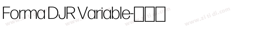 Forma DJR Variable字体转换